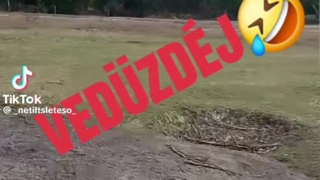 Barázdamester ismét megvillantja retardált angol tudását - Steve és a hét napjai