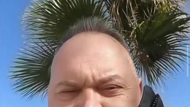 MC Pitypang gyors bejelentkezese