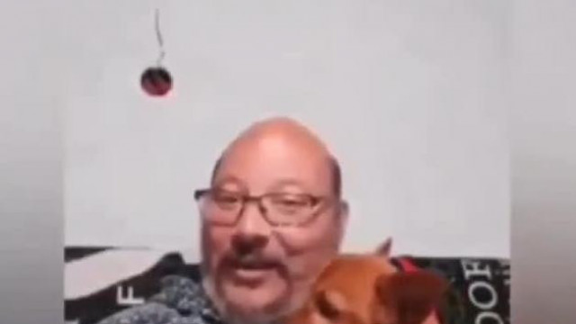 Tojás a kutyája seggét nyomogatja