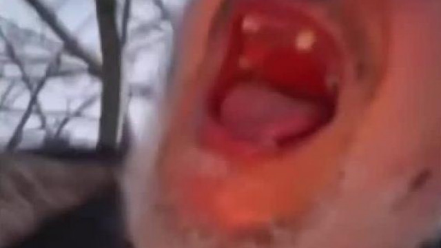 Sàtàni Halàlhörgés nagyràbén - a Fogatlan Horrorszörny pedòRém gyuluska idegrohamot kap
