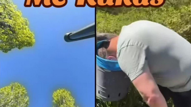Ezt èrdemli a Malac - a kamu hulladèk Gyogyòsfalvi ràveszi Dömpit hogy belenyomja a fejèt egy kukàba