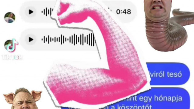 Egy közszereplő Tragédiàja - Istvàn egy privàt üzenetben panaszkodik miszerint alig alszik ès zaklatjàk