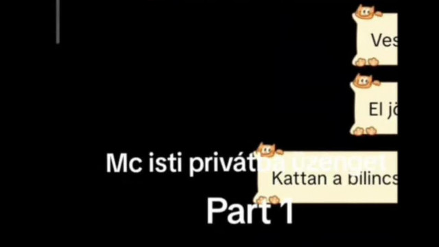Hörög a miskolci PDF horrordisznò - Elmebetegkènyi màs gyerekèt akarja bàntani (privàt üzenet leak)
