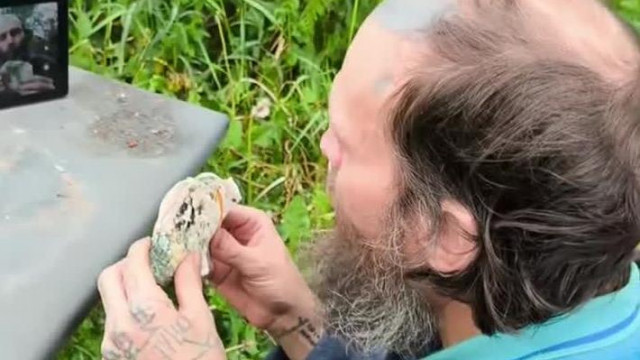 Csapitalista Fölvétel - Bartos Möster egy 1 hònapja elàsott Mekis sajtburgert majszol jòizűen
