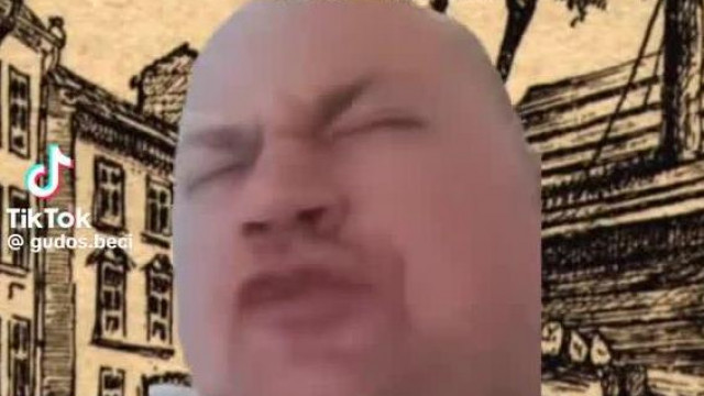 Mc Nemecsek