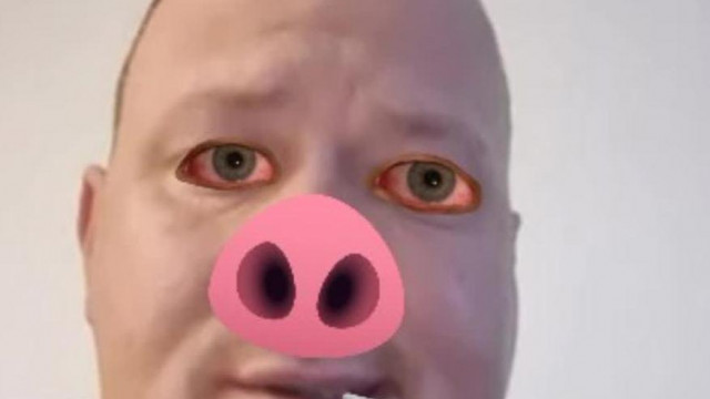 Gézuka a megélhetési sertés.