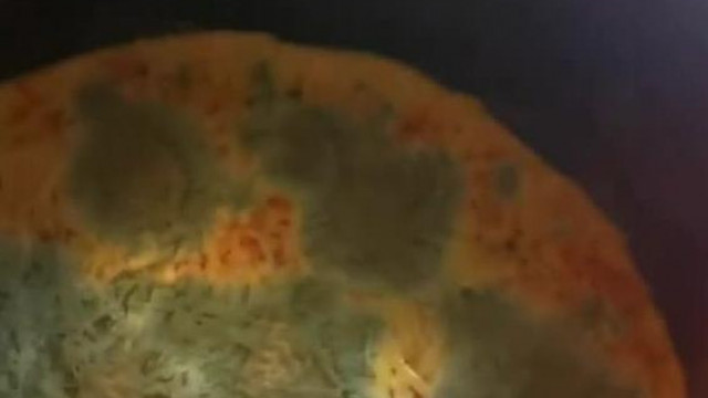 Sab Kelemen megmutatja az airfryerben nyersen felejtett pizzát