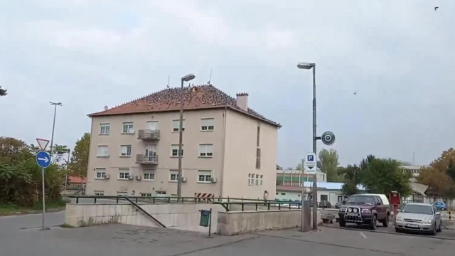 aki Egri Ecetes Ulahut Béla： Galambinvázió a Miskolci Tiszai Pályaudvar előtt