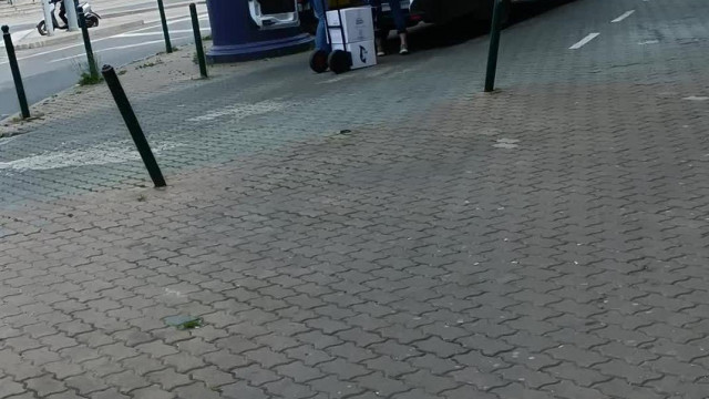 Tibor munka közben 2023.05.24.