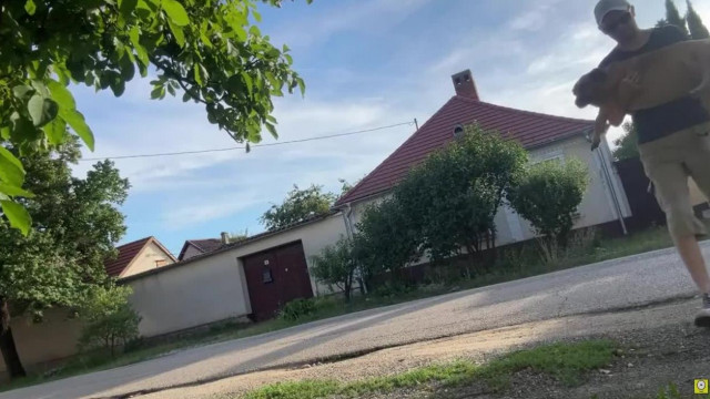 Höjpi megunta otthon, ezért lefekszik a szomszéd háza elé, majd onnan lájvol