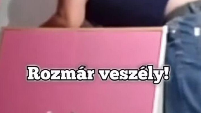 István a norvégiai rozmár - paródia