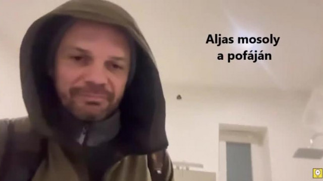 HErBY szarik a kerekesszékes nő kutyáira, de a NAV rendesen betalálta.