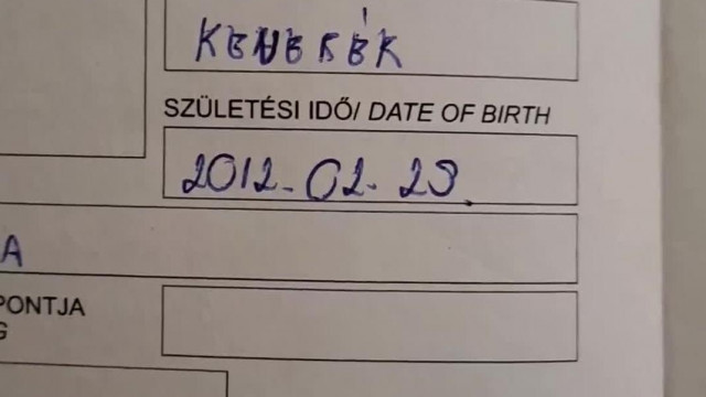 Mocskos pedofil, buzi, gyermekmegrontó, állatkínzó Vadász Kulus - Ez az igazság!!! #2 2024 01.24.