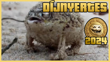 Jutka Warcry Meme Compilation
