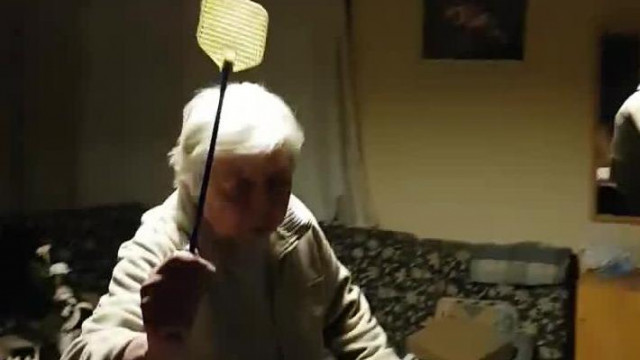 Ládikám büdösbogárra vadászik (archív, 2020-05-09)
