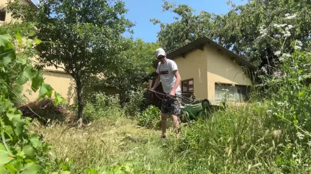 Herbert kerti "munkát" végez a sümegi dzsungelben (Balfaszoskodás)