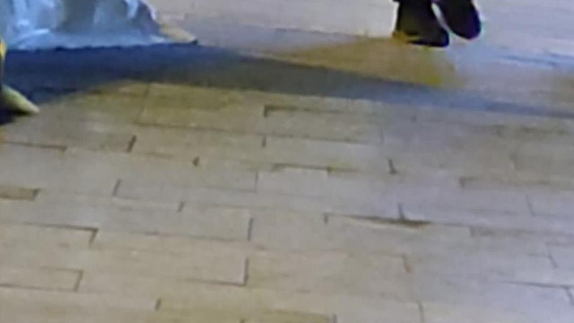 Tibi és Jutka spotting - Tibi nem tudja kinyitni a sört ezért a falhoz vágja (2024.04.21.)
