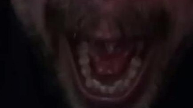 Random tiktok elmebeteg - Cvi nem szedi a gyógyszereket. VÁRATLAN TÉBOLYDULAT
